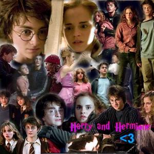 Harry and Hermione 